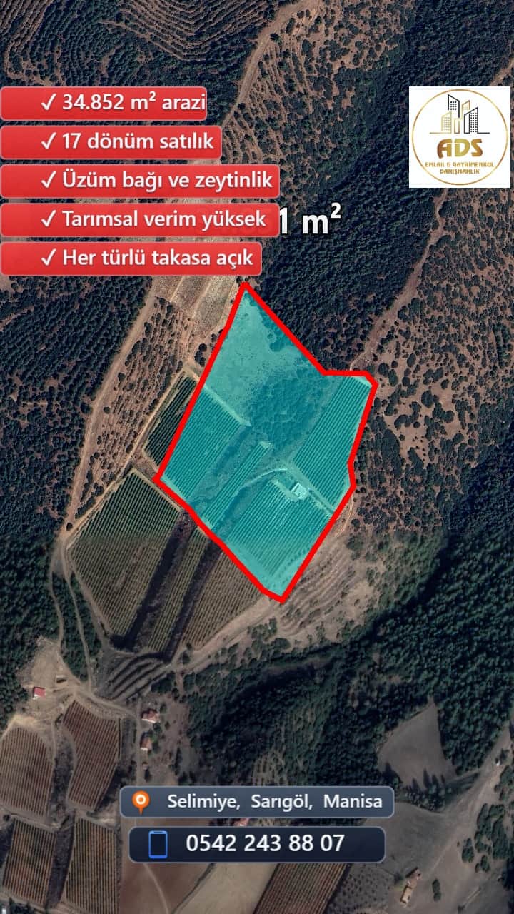 SELİMİYE BİLALLER BÖLGESİNDE 17 DÖNÜM SATILIK BAĞ+ZEYTİNLİK - Görsel 2