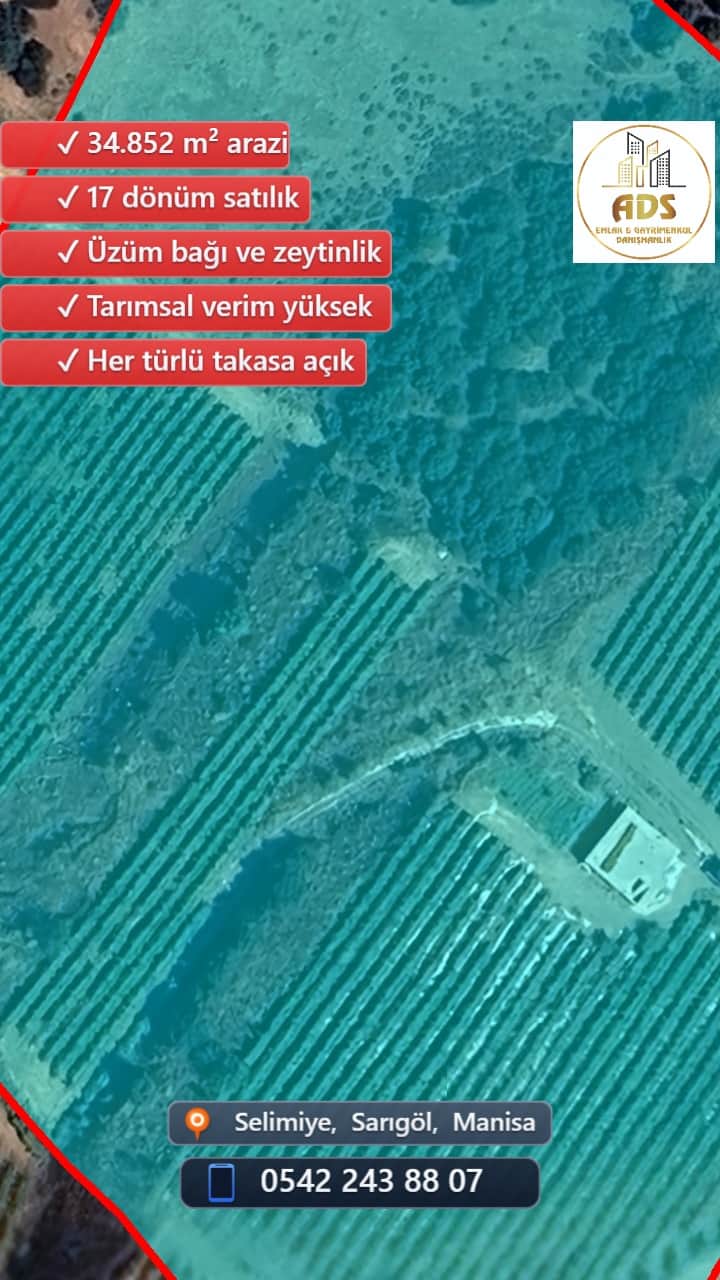 SELİMİYE BİLALLER BÖLGESİNDE 17 DÖNÜM SATILIK BAĞ+ZEYTİNLİK - Görsel 3