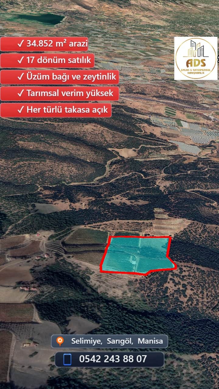 SELİMİYE BİLALLER BÖLGESİNDE 17 DÖNÜM SATILIK BAĞ+ZEYTİNLİK - Görsel 5
