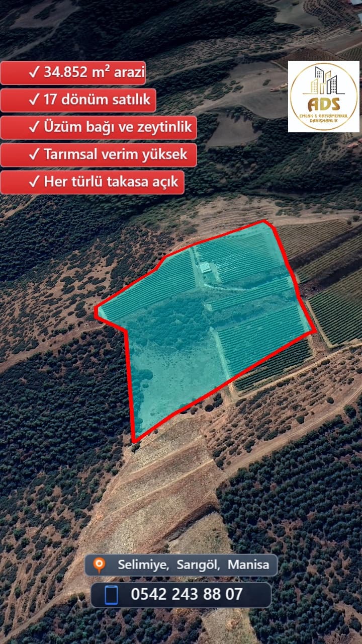 SELİMİYE BİLALLER BÖLGESİNDE 17 DÖNÜM SATILIK BAĞ+ZEYTİNLİK - Görsel 5