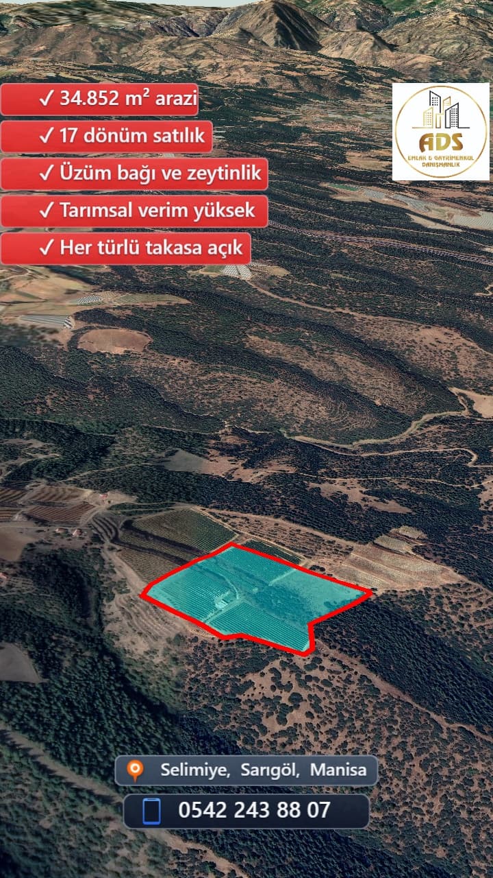 SELİMİYE BİLALLER BÖLGESİNDE 17 DÖNÜM SATILIK BAĞ+ZEYTİNLİK - Görsel 7